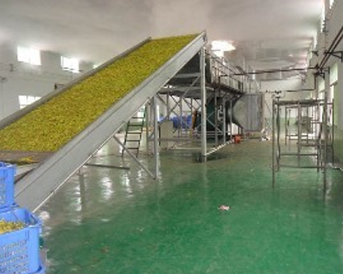 黄瓜视频APP下载免费直播批發